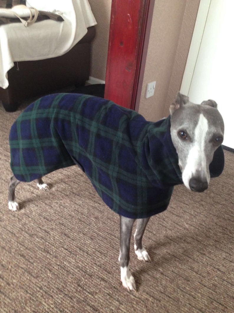 Dog snood fleece blue tartan whippet ,Italian greyhound ,greyhound,lurcher 8 sizes image 2