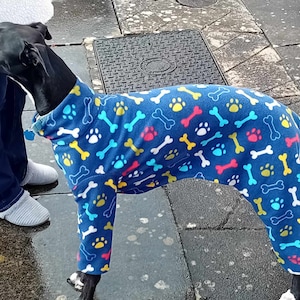 Pu&ograve; includere: Un cane nero che indossa un maglione per cani in pile blu con un motivo di ossa bianche e impronte di zampe colorate.