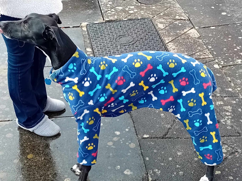 Pu&ograve; includere: Un cane nero che indossa un maglione per cani in pile blu con un motivo di ossa bianche e impronte di zampe colorate.