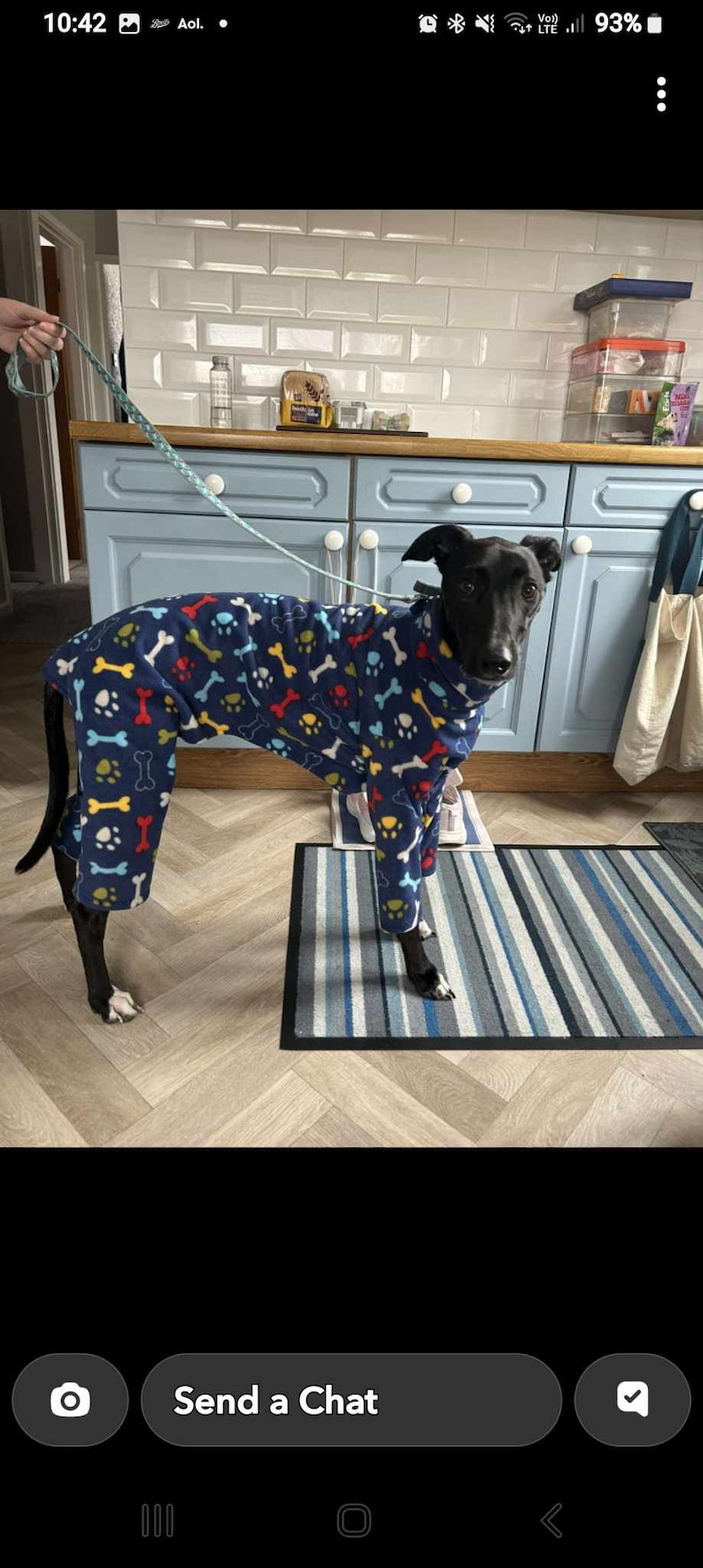 Pu&ograve; includere: Un cane nero che indossa una tuta in pile blu, rossa, gialla e bianca con ossa e impronte di zampe. Il cane &egrave; in piedi su uno zerbino a strisce blu e grigio in una cucina.