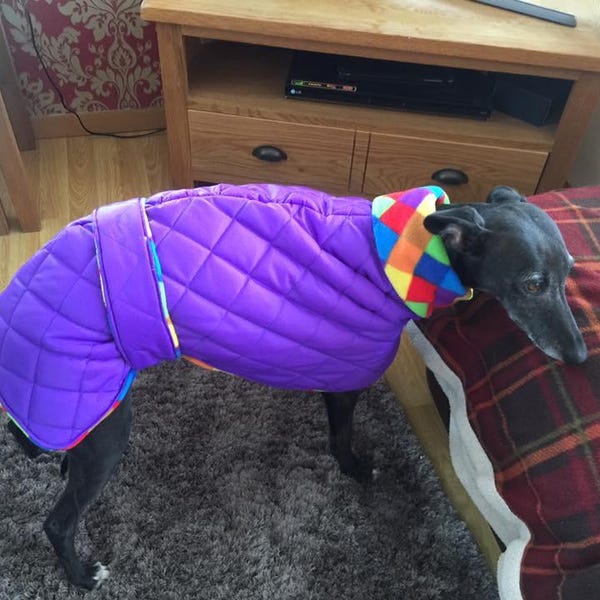 Waterproof dog coat purple and purple jacquard puppy, whippet, greyhound, lurcher, Italian