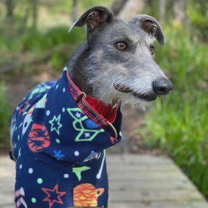 Fleece Dog Snood coat , jumper space , Halloween Whippet, Greyhound , lurcherr image 9
