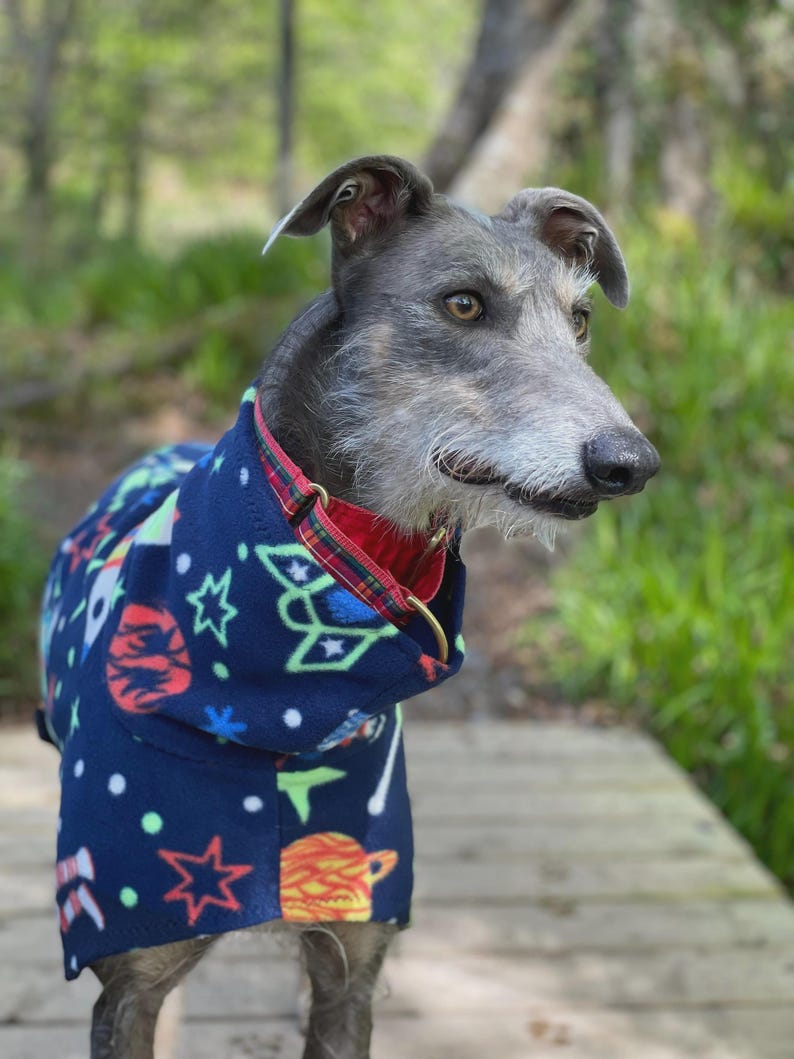 Fleece Dog Snood coat , jumper space , Halloween Whippet, Greyhound , lurcherr image 9