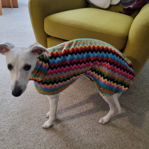 Puede incluir: Un perro blanco con un su&eacute;ter de patr&oacute;n de zigzag colorido. El perro est&aacute; de pie sobre una alfombra marr&oacute;n claro frente a un sill&oacute;n verde.