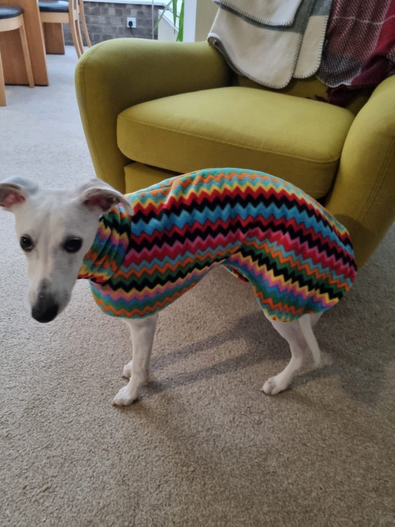 Dog snood coat,zigzag fleece,jumper, whippet, greyhound , Italian , lurcher zdjęcie 4