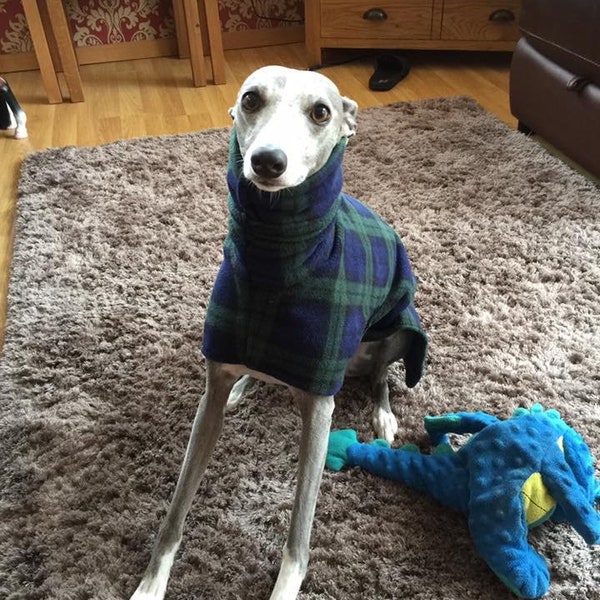 Dog snood fleece blue tartan whippet ,Italian greyhound ,greyhound,lurcher 8 sizes