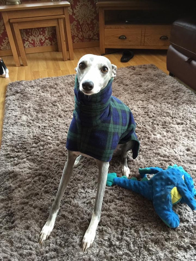 Dog snood fleece blue tartan whippet ,Italian greyhound ,greyhound,lurcher 8 sizes image 1