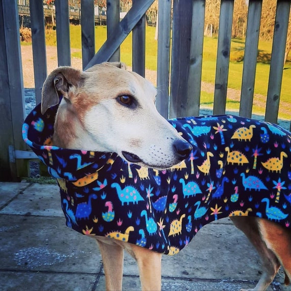 Whippet dinosaur pyjamas new arrivals