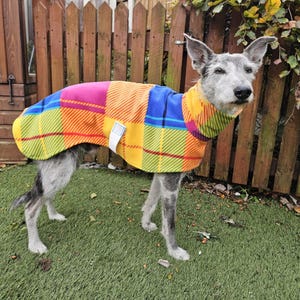 Peut inclure: Un chien portant un manteau pour chien &agrave; carreaux color&eacute;s. Le manteau pr&eacute;sente un motif patchwork avec des teintes vives de rose, de bleu, de jaune et d'orange. Le chien se tient sur de l'herbe verte devant une cl&ocirc;ture en bois.