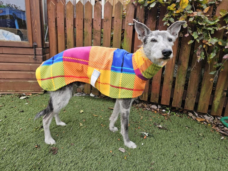 Peut inclure: Un chien portant un manteau pour chien &agrave; carreaux color&eacute;s. Le manteau pr&eacute;sente un motif patchwork avec des teintes vives de rose, de bleu, de jaune et d'orange. Le chien se tient sur de l'herbe verte devant une cl&ocirc;ture en bois.