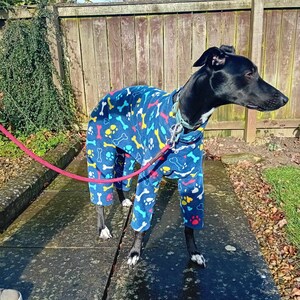 Pu&ograve; includere: Un cane nero che indossa una tuta in pile blu, gialla e rosa con un motivo a ossa e impronte di zampe. Il cane &egrave; in piedi su una superficie di cemento grigia.