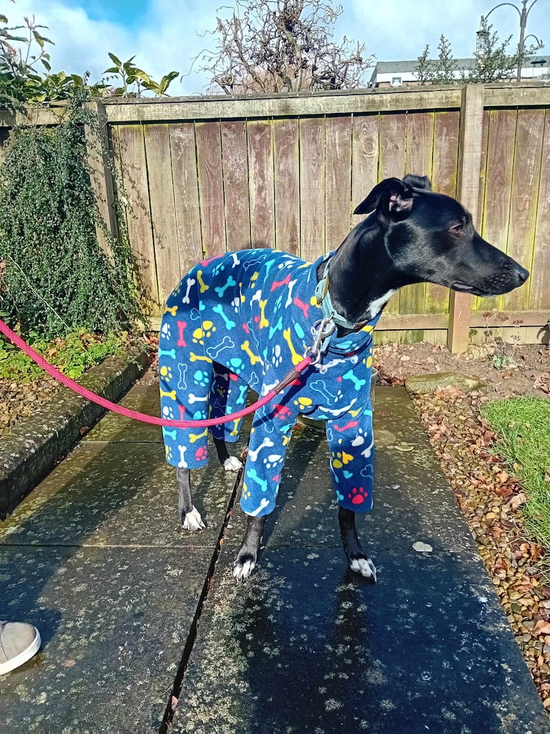 Pu&ograve; includere: Un cane nero che indossa una tuta in pile blu, gialla e rosa con un motivo a ossa e impronte di zampe. Il cane &egrave; in piedi su una superficie di cemento grigia.