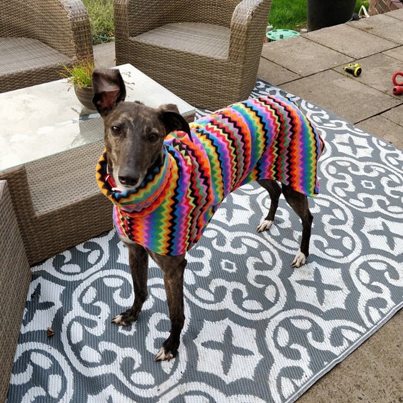 Puede incluir: Un perro marr&oacute;n y negro con un su&eacute;ter a rayas de arco&iacute;ris de colores. El perro est&aacute; de pie sobre una alfombra de patr&oacute;n gris y blanco.