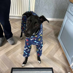 Pu&ograve; includere: Un cane nero che indossa un pigiama blu e bianco con ossa e impronte di zampe. Il cane &egrave; in piedi su un pavimento di legno con un tappeto blu e bianco di fronte a lui.
