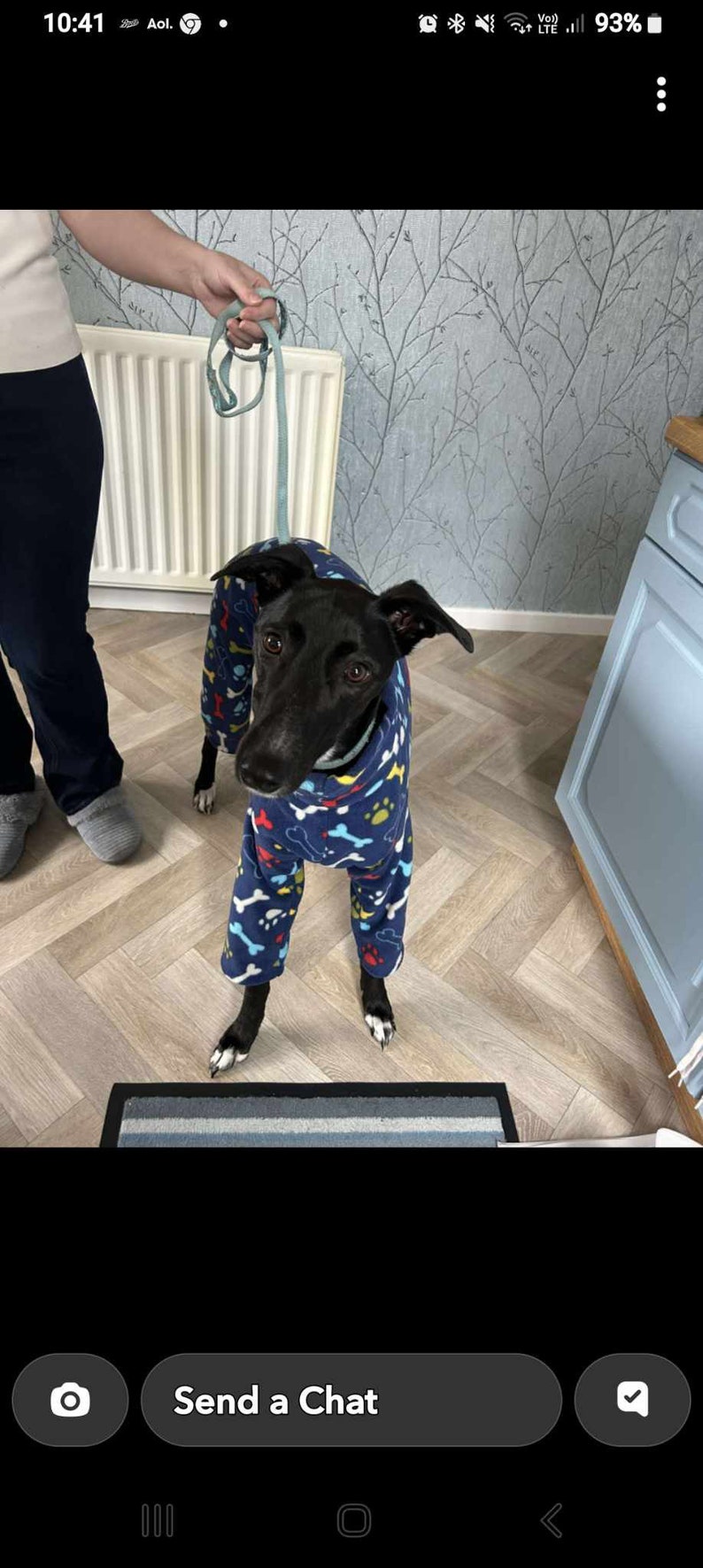 Pu&ograve; includere: Un cane nero che indossa un pigiama blu e bianco con ossa e impronte di zampe. Il cane &egrave; in piedi su un pavimento di legno con un tappeto blu e bianco di fronte a lui.