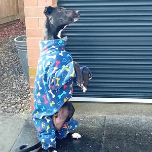 Pu&ograve; includere: Un cane nero che indossa una tuta in pile blu con un motivo a ossa e impronte di zampe. Il cane &egrave; in piedi su una superficie di cemento grigia.