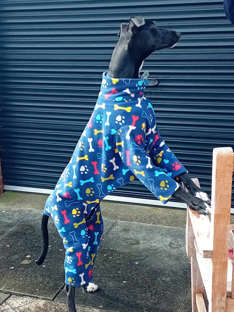 Pu&ograve; includere: Un cane bianco e nero che indossa una tuta in pile blu con un motivo a ossa e impronte di zampe. La tuta ha dettagli gialli, rossi e blu chiaro.