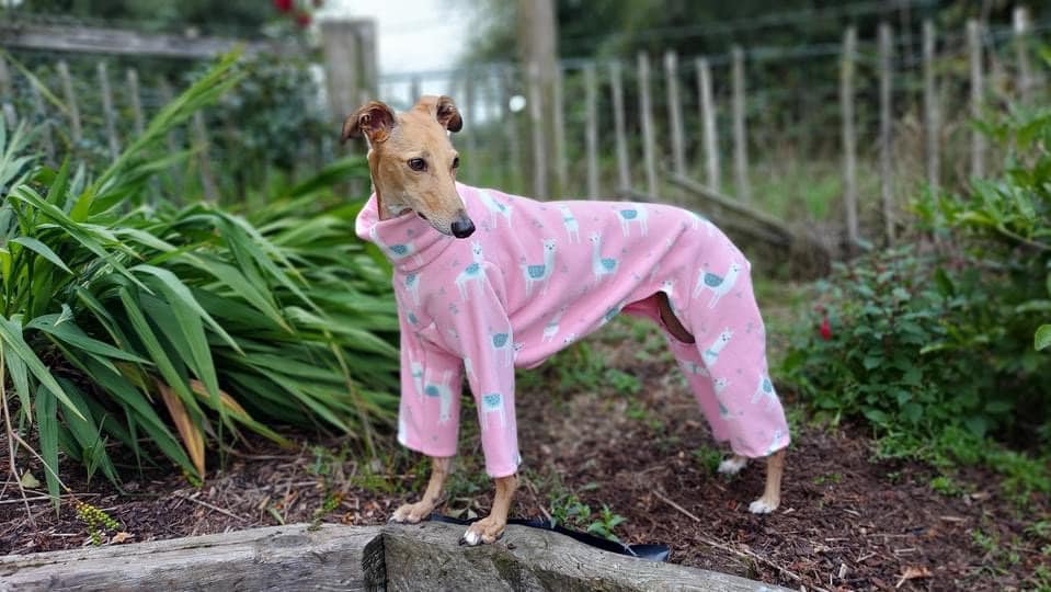 Whippet Pajamas Etsy Canada