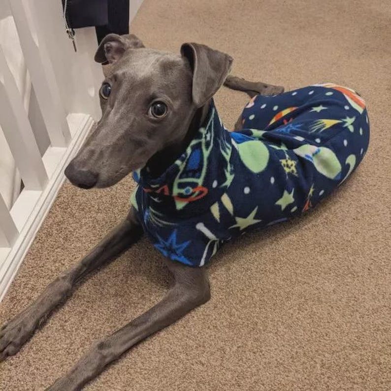 Fleece Dog Snood coat , jumper space , Halloween Whippet, Greyhound , lurcherr image 7