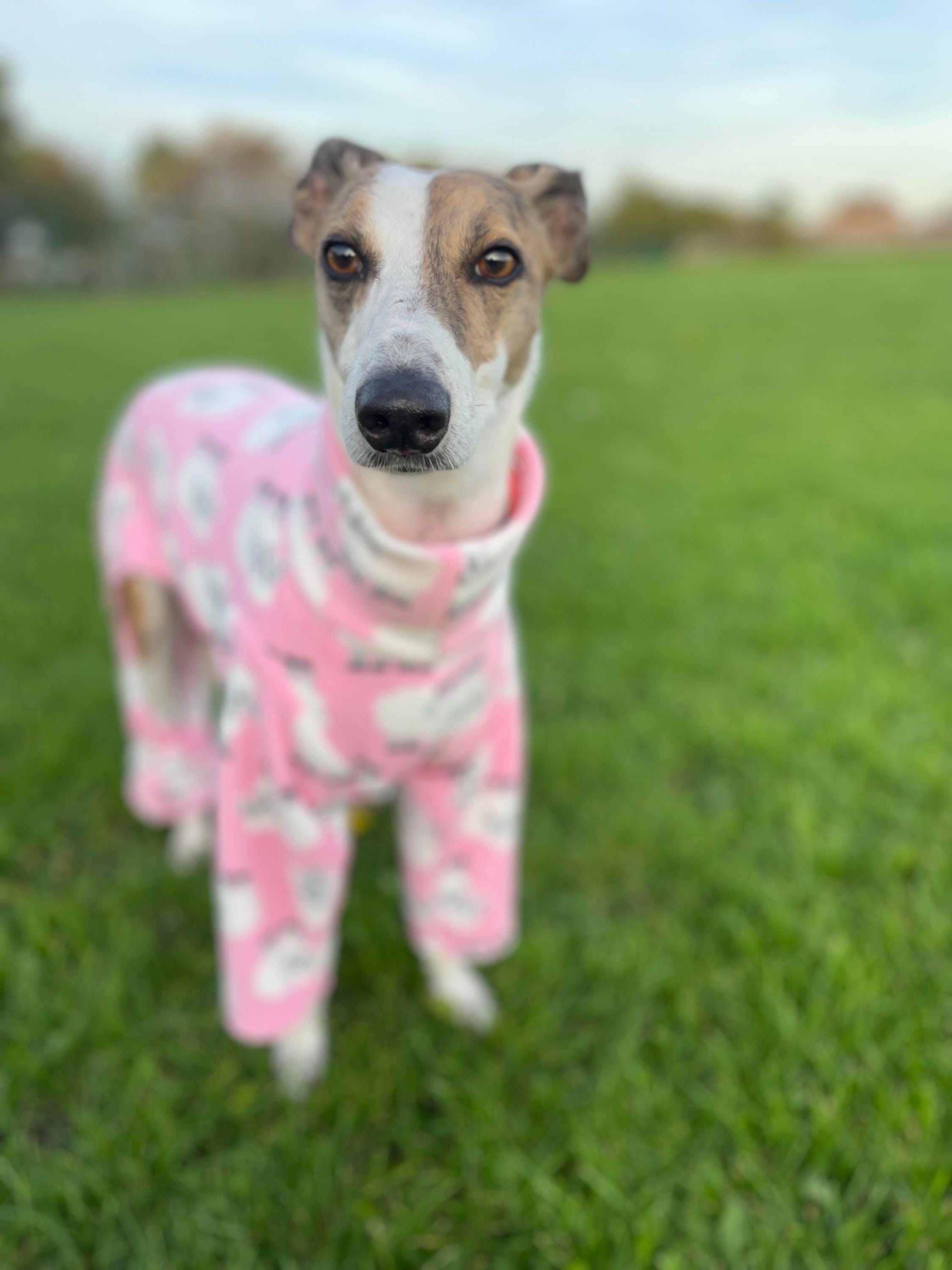 Dog Pyjamas in Pink Sheep Print Fleece Pyjamas Whippet, Greyhound ...