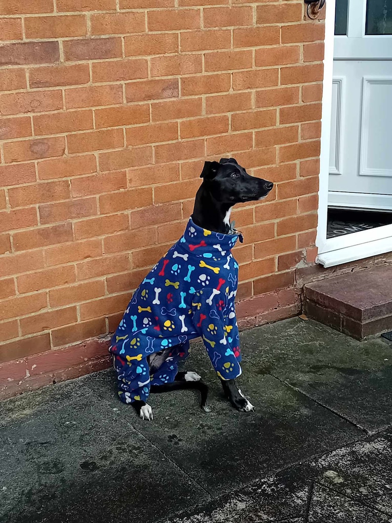 Pu&ograve; includere: Un cane nero che indossa un cappotto in pile blu per cani con un motivo a ossa e impronte di zampe. Il cane &egrave; seduto su una superficie di cemento grigia davanti a un muro di mattoni.