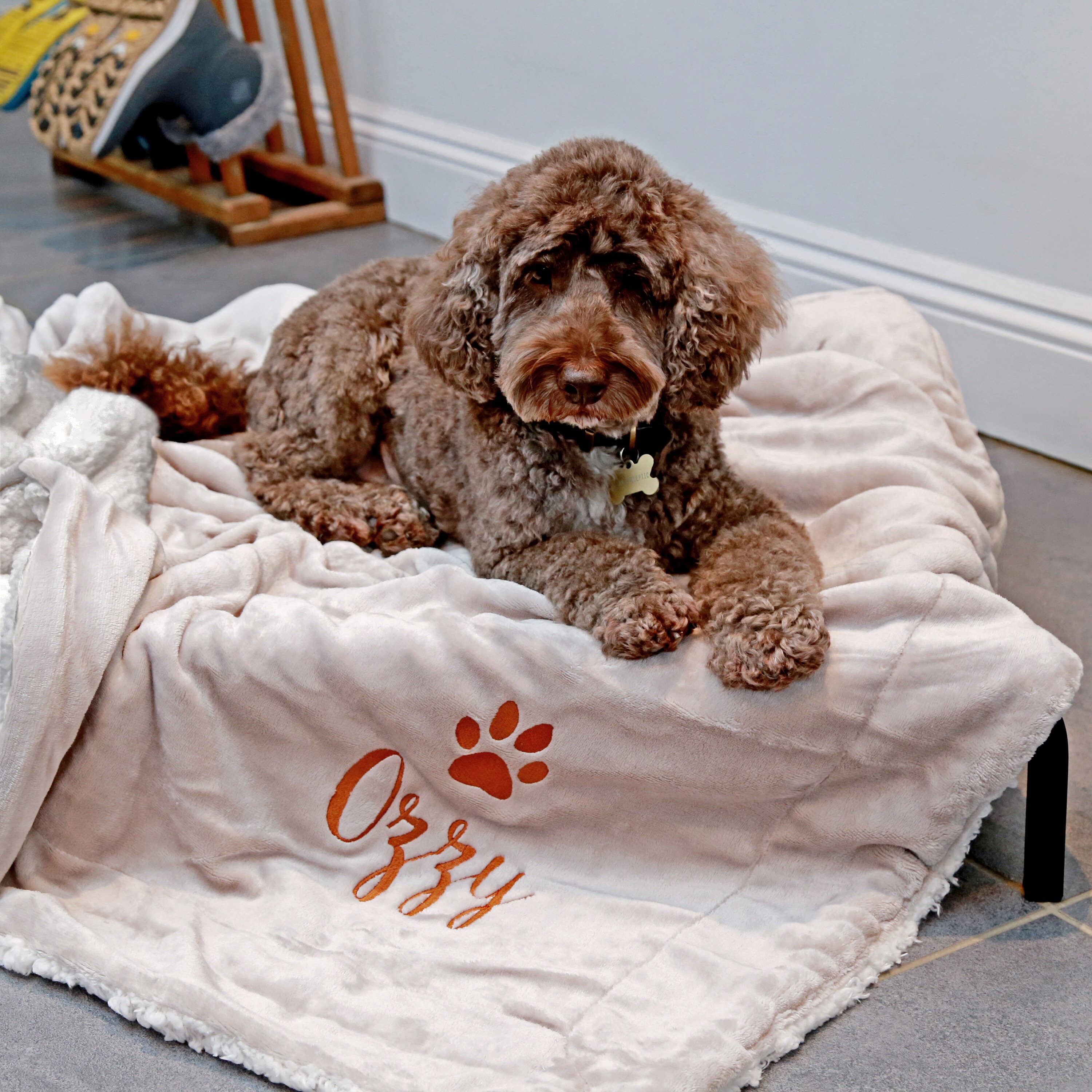 Personalised luxury dog blanket hotsell