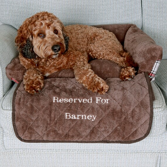 barney dog bed