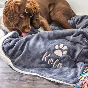 May include: A gray and white dog bed with a paw print and the name "Kolo" embroidered on it. A brown dog is lying on the bed.