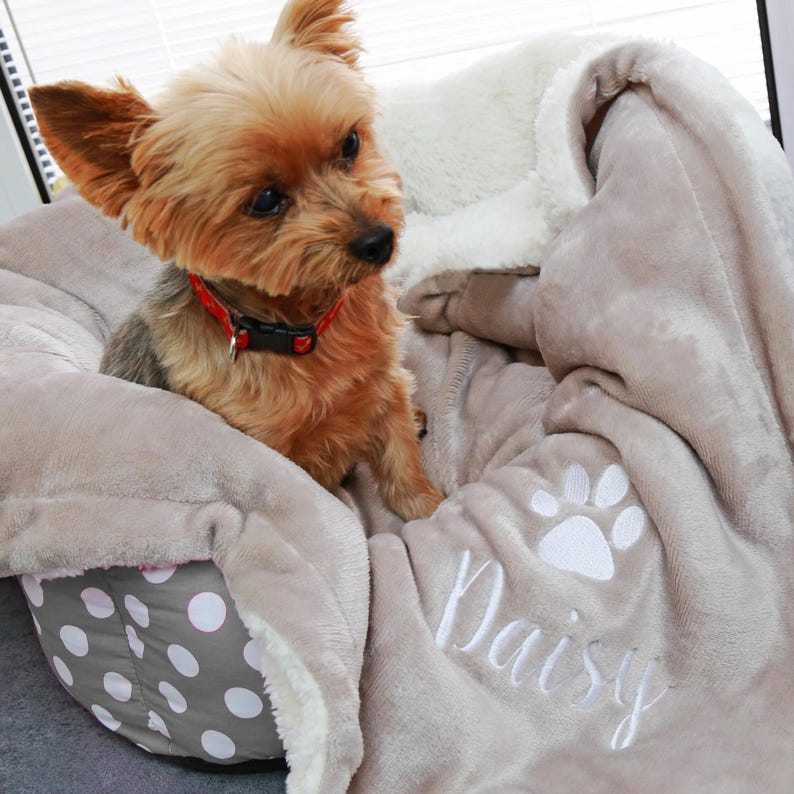 May include: A small brown and white dog is sitting on a gray and white polka dot dog bed. The dog is wearing a red collar. The dog bed is covered with a gray fleece blanket with a white paw print and the name "Daisy" embroidered on it.