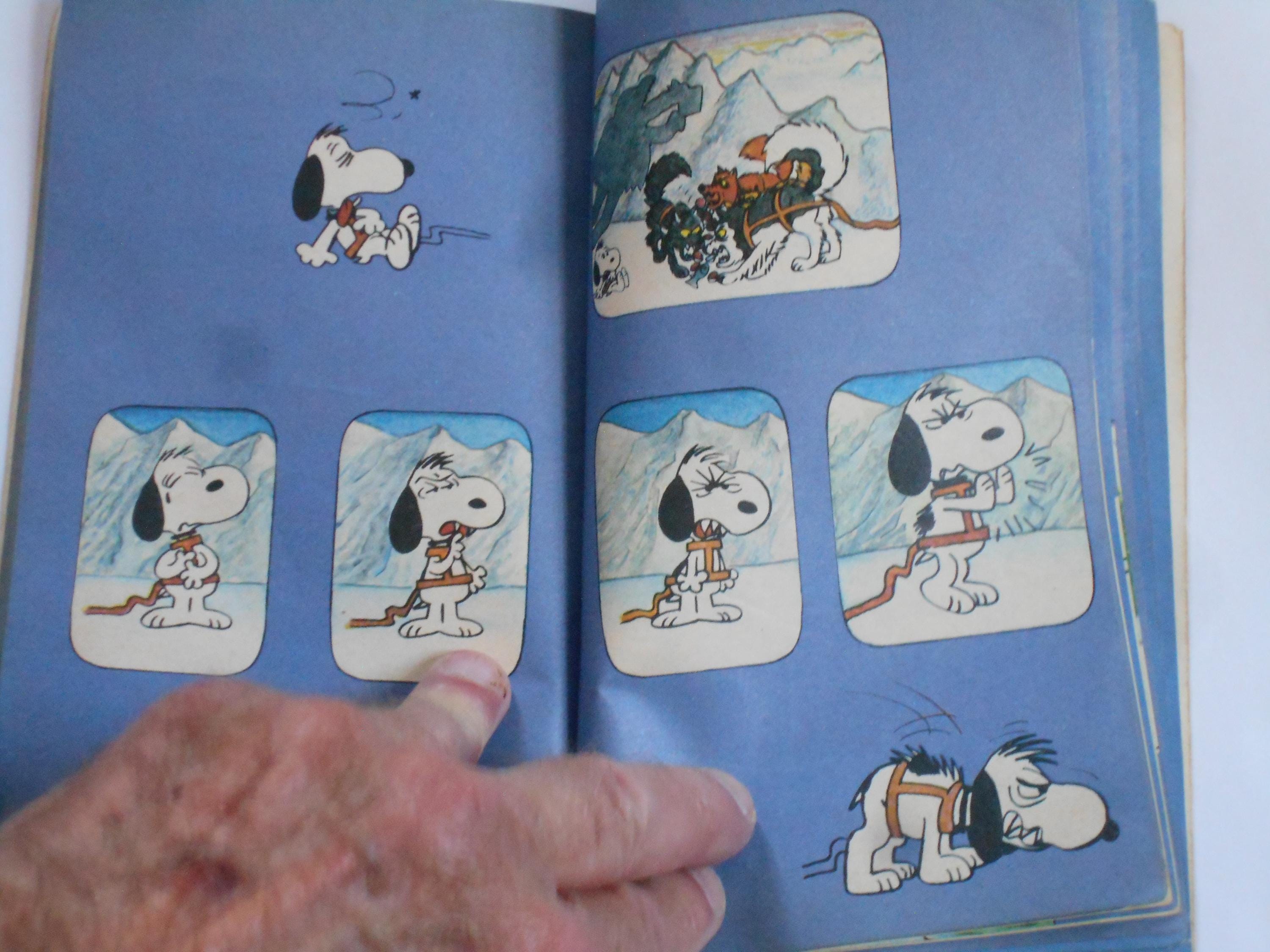 Two Snoopy, Peanuts, Charlie Brown * Paperback Books * Learn to Read ...