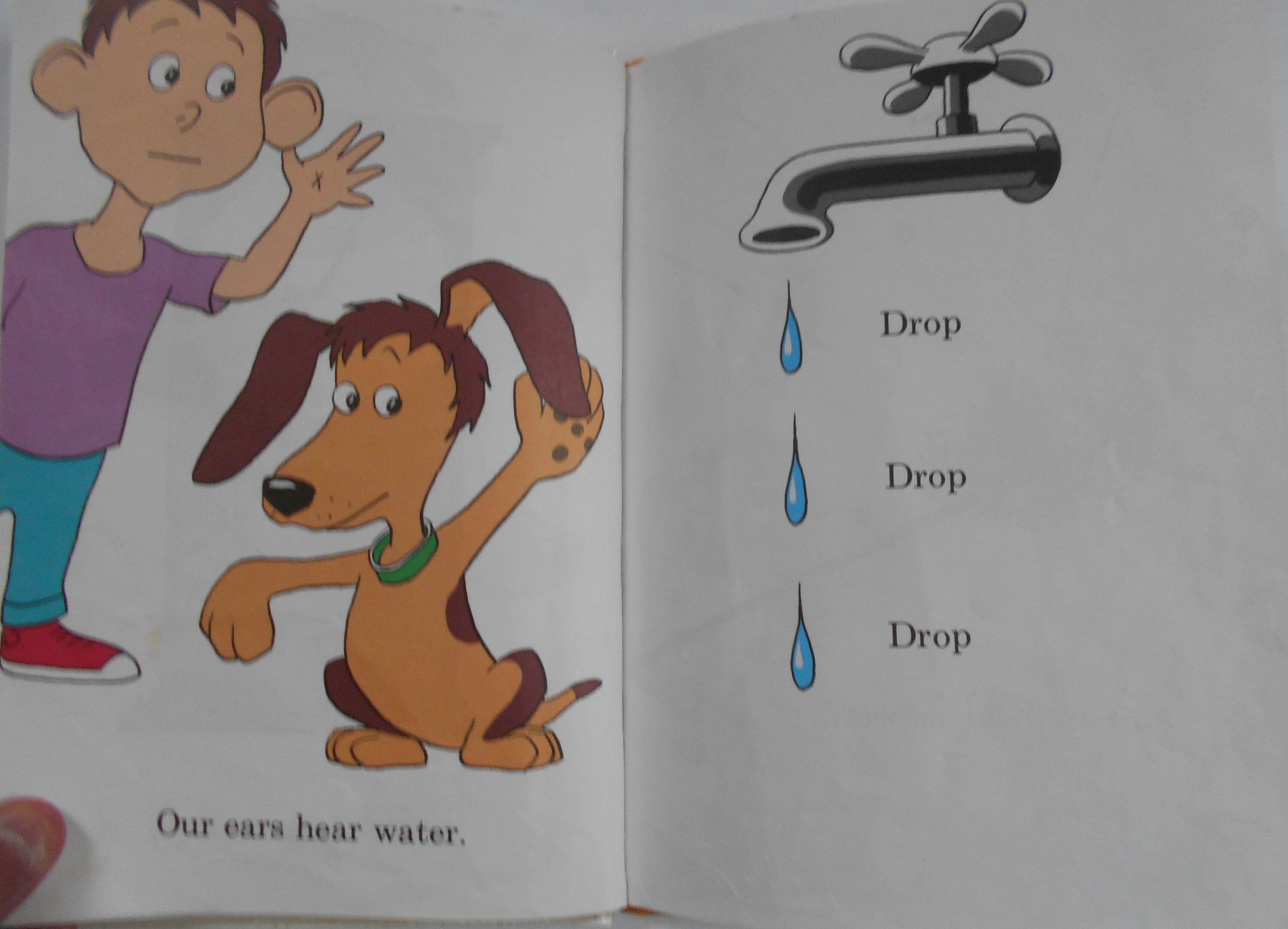 The Ear Book by Al Perkins Dr. Seuss Bright and Early Book Etsy Portugal