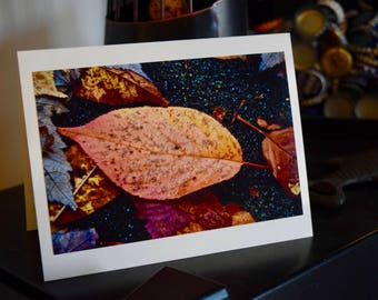 Single Fall Leaf - Print