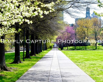 Spring in the Park - Digital Download