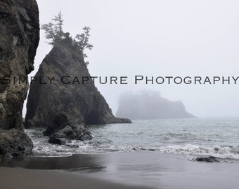 Misty Shore - Digital Download