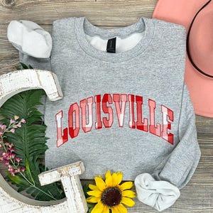1990s Vintage Louisville "louie The Cardinal" Mascot Sweatshirt. - Ireland
