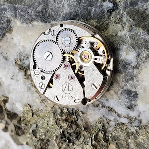 Pu&ograve; includere: Primo piano di un movimento di orologio con ingranaggi, viti e gioielli intricati. Il meccanismo argentato presenta un design circolare con i marchi "1809" e un logo "ZL" stilizzato. Lo sfondo &egrave; una superficie di pietra strutturata multicolore.