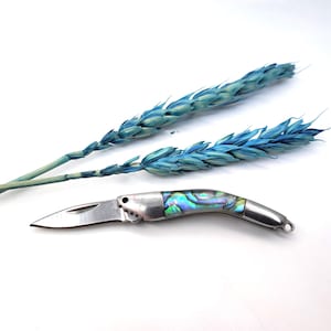 1 3/8&quot; abalone-achtig mes miniatuur kleine sieraden en mixed media arts supply item, sleutelhanger, mes bedelhanger