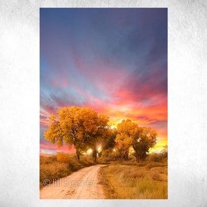 PRINT: Cottonwood Trees and Dirt Road in New Mexico Southwest Fall Autumn Sunrise Sunset - Professional Fine Art Paper Print