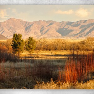 PRINT: Bernardo Waterfowl Wildlife Refuge in New Mexico, USA - Professional Fine Art Paper Print