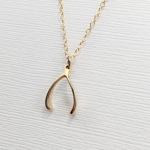 Kleine Gold Wishbone Halskette, Silber Glücksbringer, Glücksbringer Wishbone, Zierliche Wishbone, Minimal Halskette, Einfache Wish Bone Halskette