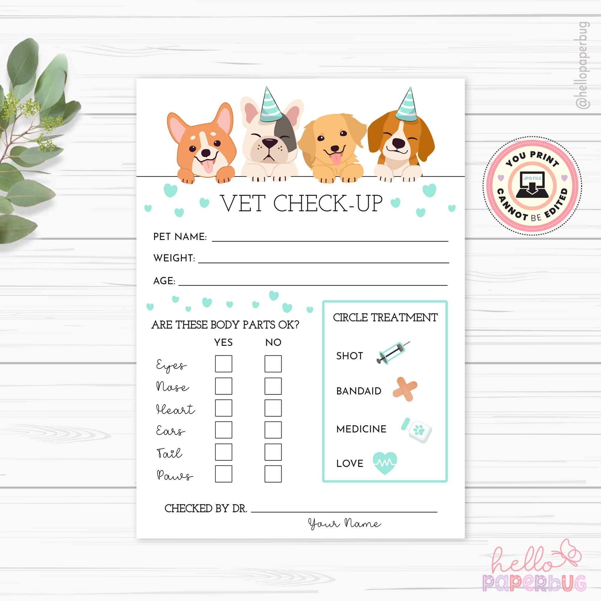Vet Check up Exam Sheet Pet Checkup Lets Pawty Dog Birthday Etsy