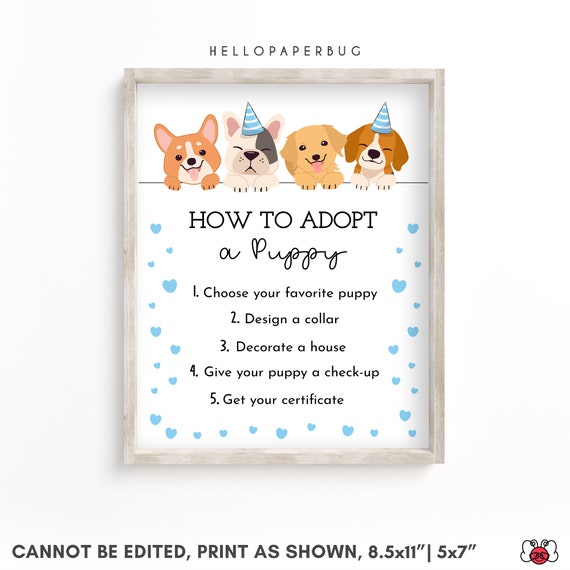 What Is The Dog Adoption Process
