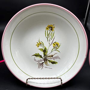 May include: White ceramic plate with a pink rim and a green inner border. The plate features a botanical illustration of a yellow-flowered plant with green leaves and the text "Diplotaxis muralis".