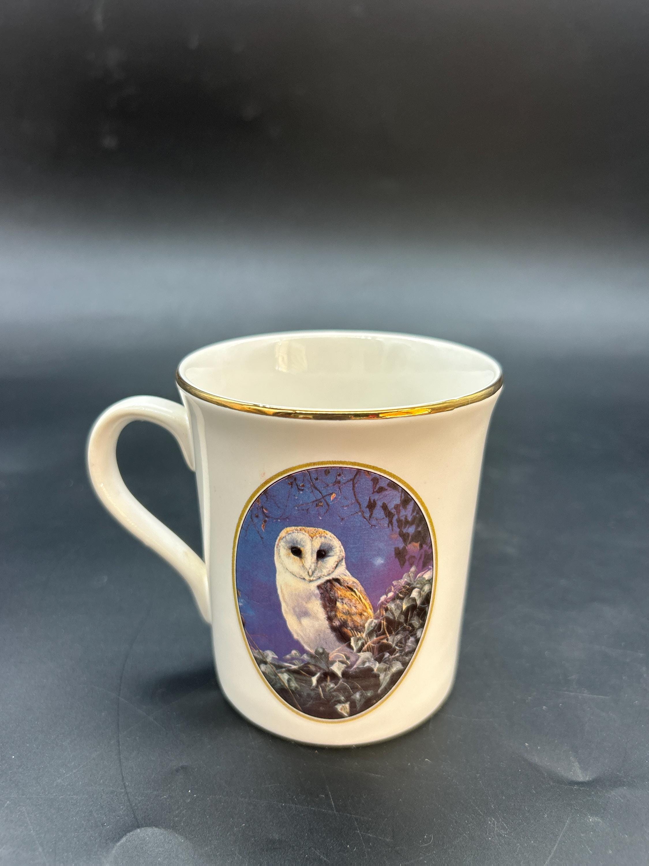 Vintage English Owl Mug The Pollyanna Pickering Collection
