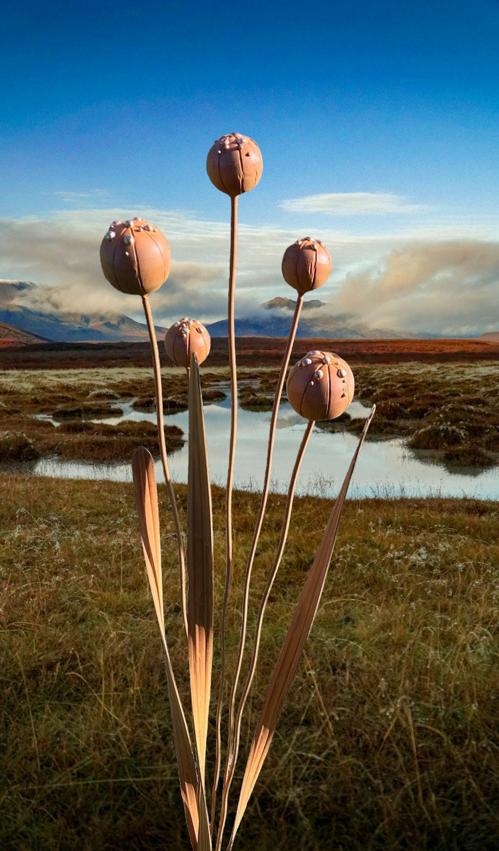 Poppy Pod Cluster
