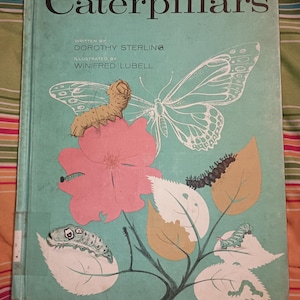 Caterpillars by Dorothy Sterling  1961 Vintage Children&#39;s Book
