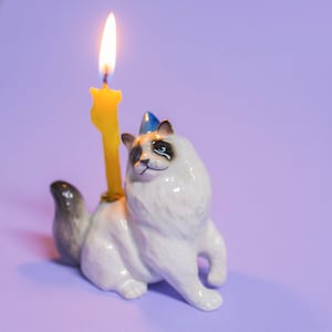 ラグドール猫のケーキトッパー | 手作り磁器の置物 | キャンプホローの収集価値のある家宝アート | バースデーキャンドルホルダー | 全部集めよう!
