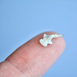 World&#39;s Tiniest Hammerhead Shark Figurine  | Miniature Hand-painted Porcelain | Incredibly Small Creatures | Collect them all!