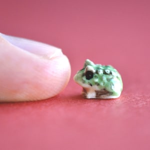 World's Tiniest Toad Figurine  | Miniature Hand-painted Porcelain | Incredibly Small Creatures | Collect them all!