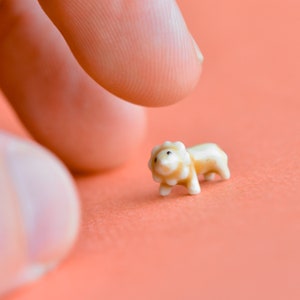 Der kleinste Löwe der Welt | Miniatur Handbemaltes Porzellan | Unglaublich Kleine Wesen | Sammle sie alle!